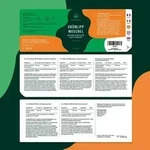 Gr&uuml;nlippmuschel - 450 Kapseln (500mg) - Hochdosiert mit 2000mg pro Tagesdosis -