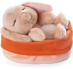 karamell, Sleeping Pets,, NICI - Braun