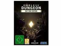 Endless Dungeon PC D1