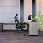 hjh OFFICE Profi B&uuml;rostuhl ERGO LINE II PRO Ergonomischer Schreibtischstuhl mit