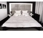 HS49 Decke 200x220 cm 2500 Gramm Daunendecke Bettdecke 70% Daunen 30% Federn Mayaadi