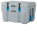 Lifetime Kunststoff K&uuml;hlbox Premium 52 L passive K&uuml;hlbox Grau 44x69x44 cm -...