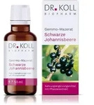 Gemmo-Mazerat schwarze Johannisbeere Dr.Koll Ribes, 50 ml TRO