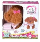 CCL Tea Cup Poodle Puppy
