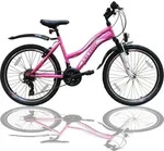 26 Zoll Mountainbike M&auml;dchen Kinder Fahrrad mit Gabelfederung & Beleuchtung 21-GANG