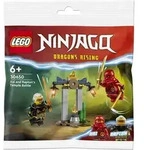 LEGO 30650 NINJAGO Kais und Raptons Duell im Tempel