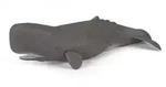 Papo Pottwal, 24 g