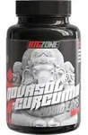 Big Zone NovaSol&reg; Curcumin 90 Liquid Kapseln