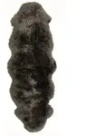 Schaffell Echtfell Gro&szlig;, 60 x 160 cm Schwarz, Lammfell Fellteppich, Schaffell