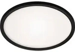 LED Bad-Deckenleuchte, schwarz, LED/22W - Schwarz