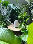 MESTO Gie&szlig;kanne (Blumen-Gie&szlig;kanne / Kunststoff-Gie&szlig;kanne, Fassungsverm&ouml;gen 1 L, -