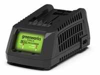 Greenworks 24V Ladegerät 2A G24C (ohne Akku)