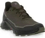 Salomon Schuhe Alphacross 5 Gtx, 473103 - Braun - 42 2/3