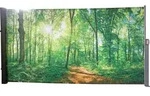 Seitenmarkise, Motiv Waldlichtung - Bunt/Silber
