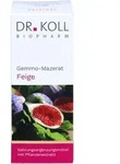 Gemmo-Mazerat Feige Dr. Koll Ficus carica, 50 ml TRO