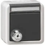 GIRA 456930 SCHUKO KD Schloss gleich + B (456930) - Grau