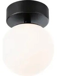 Paulmann Selection Bathroom LED Deckenleuchte Gove - Schwarz/Silber