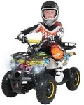 Actionbikes Motors Elektro Kinderquad Torino | 1000 Watt - 36 V - Pocket Quad bis 24