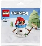 LEGO 30645 Creator Schneemann - Bunt