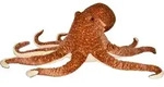 Ck Jumbo Octopus 76 Cm - Braun