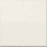 Jung AS591-5, Jung Wippe ws AS 591-5