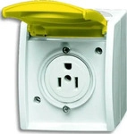 Busch-Jaeger 2CKA002124A0025, Busch-Jaeger Einsatz Nema-Steckdose Zinkgelb, Gelb