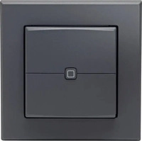 Homematic IP 161869A0, Homematic IP Wandtaster HmIP-WRC2-A-2