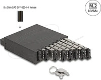 Delock 47129, Delock 47129 Festplatten-Wechselrahmen M.2, SAS