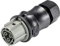Wieland Electric 96.031.4154.3, Wieland Electric 96.031.4154.3 Steckverbinder