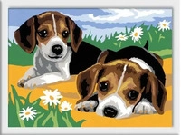 Ravensburger 28329, Ravensburger 28329 Malen nach Zahlen: Jack Russel Welpen
