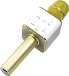 Technaxx 4685, Technaxx BT-X31 Karaoke-Mikrofon