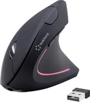 Renkforce RF-4509682, Renkforce RF-WM-322 Ergonomische Maus Funk Optisch Schwarz 5