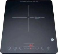 Wilfa 603831, Wilfa ICP-1800B 603831 Induktionsplatte
