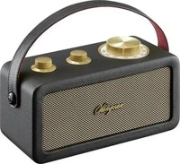 Sangean A500522, Sangean RA-101 Akku-Radio FM Bluetooth, AUX wiederaufladbar...