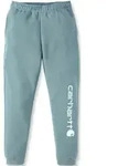Carhartt Midweight Tapered Graphic Jogginghose, gr&uuml;n-blau, Gr&ouml;&szlig;e S f&uuml;r M&auml;nner