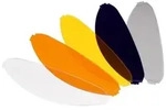 Nolan N100-5 Pinlockscheibe, transparent f&uuml;r M&auml;nner