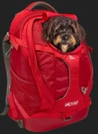 Kurgo K-01683, Kurgo Rucksack G-Train K9 Pack schwarz