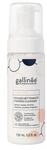 Gallin&eacute;e Foaming Facial Cleanser Reinigungsschaum