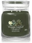 Yankee Candle Siver Sage & Pine Signature Jar Duftkerze