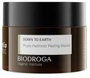Biodroga PHYTO CLEANSING Gesichtsmaske