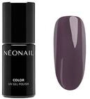 N&Eacute;ONAIL UV Nagellack Gel Nagellack
