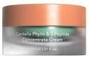 haruharu wonder CENTELLA Phyto & 5 Peptide Concentrate Cream Gesichtscreme