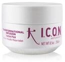 ICON Infusion Haarmaske