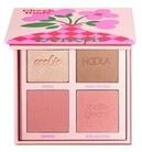 Benefit Cosmetics Cheek Buds Face Palette Rouge Palette