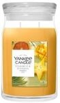 Yankee Candle Signature Grosses Glas Starfruit & Sunshine Duftkerze