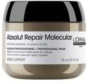 L'Or&eacute;al Professionnel Paris Absolut Repair Molecular Repair with Bonders & Amino