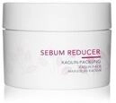 Charlotte Meentzen Sebum Reducer Kaolin Gesichtsmaske