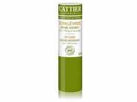 Cattier Gesichtspflege Olive - Mango Lippenbalsam 4 g Transparent
