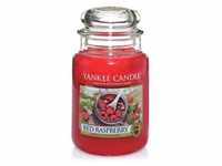 Yankee Candle Red Raspberry Housewarmer Duftkerze 0.623 kg