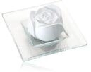 Primavera Duftstein Rosenbl&uuml;te mit Glasteller Aroma Diffusor